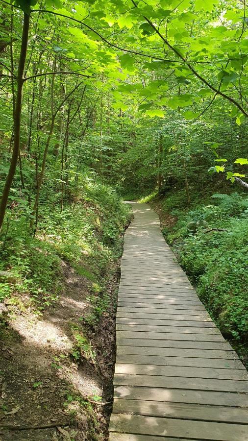 Pokoje Goscinne Maj - Rozewie Jastrzebia Gora Luaran gambar